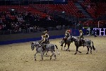 Quadrille - 00765